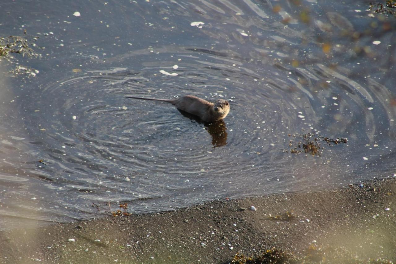 Air An Oir - Skye Self Catering Villa Portree Esterno foto